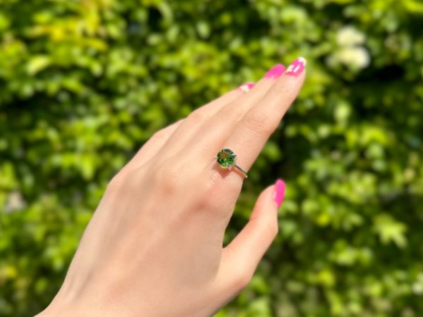 Candy ring/Fern green